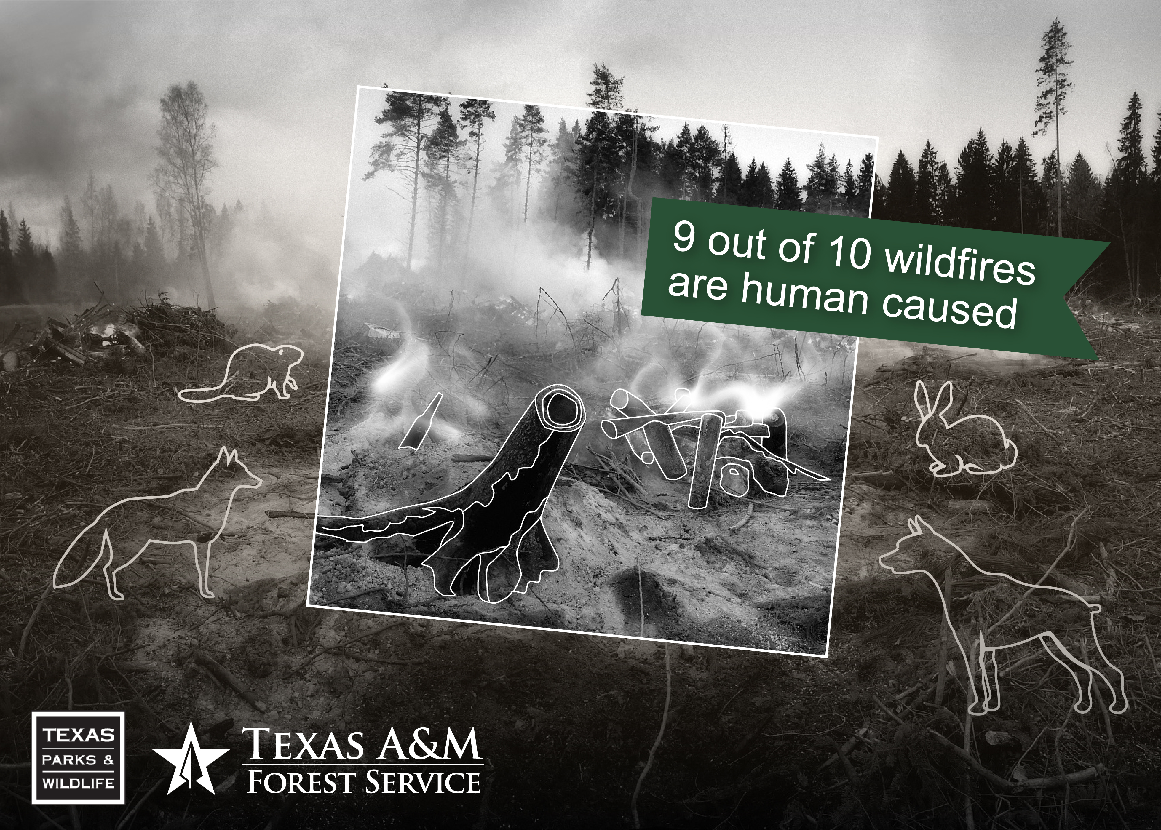 9 Out of 10 Wildfires Are Human Caused 9 Out of 10 Wildfires Are Human Caused